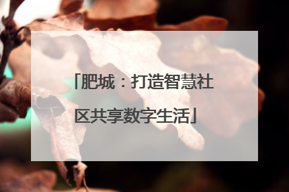 肥城：打造智慧社区共享数字生活