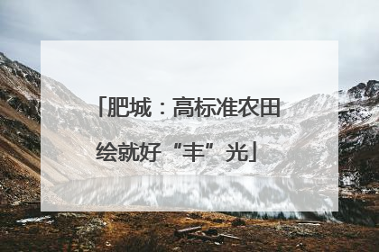 肥城：高标准农田绘就好“丰”光