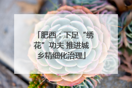肥西：下足“绣花”功夫 推进城乡精细化治理