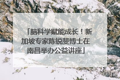 脑科学赋能成长！新加坡专家陈锐斐博士在南昌举办公益讲座