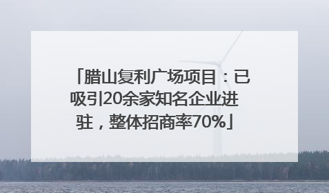腊山复利广场项目：已吸引20余家知名企业进驻，整体招商率70%