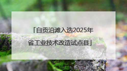 自贡沿滩入选2025年省工业技术改造试点县