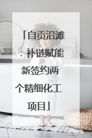 自贡沿滩：补链赋能 新签约两个精细化工项目