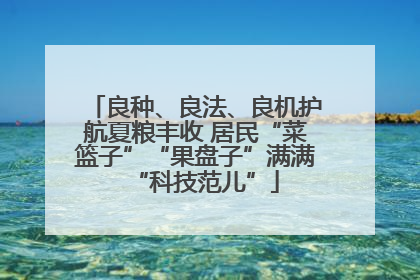 良种、良法、良机护航夏粮丰收 居民“菜篮子”“果盘子”满满“科技范儿”