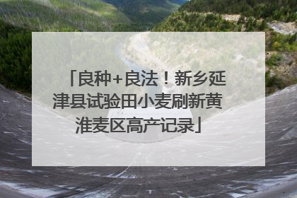 良种+良法！新乡延津县试验田小麦刷新黄淮麦区高产记录