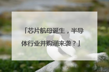 芯片航母诞生，半导体行业并购潮来袭？