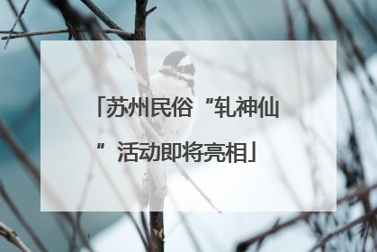 苏州民俗“轧神仙”活动即将亮相