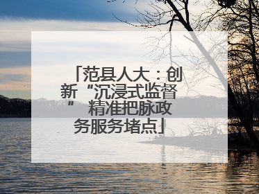 范县人大：创新“沉浸式监督” 精准把脉政务服务堵点