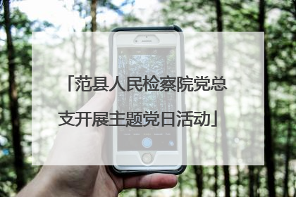 范县人民检察院党总支开展主题党日活动
