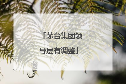 茅台集团领导层有调整
