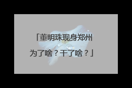 董明珠现身郑州 为了啥？干了啥？