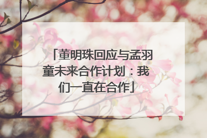董明珠回应与孟羽童未来合作计划：我们一直在合作