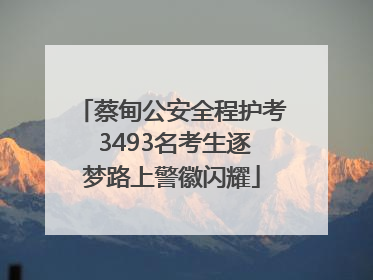 蔡甸公安全程护考 3493名考生逐梦路上警徽闪耀