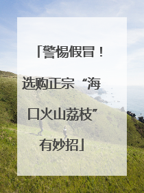 警惕假冒！选购正宗“海口火山荔枝”有妙招