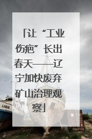 让“工业伤疤”长出春天——辽宁加快废弃矿山治理观察