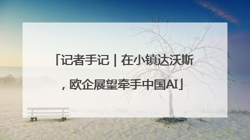 记者手记｜在小镇达沃斯，欧企展望牵手中国AI