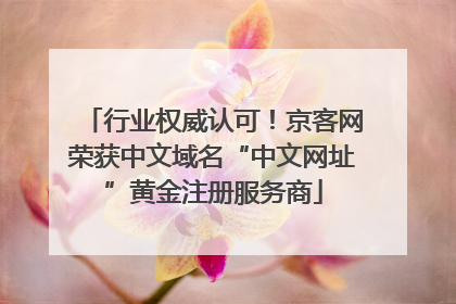 行业权威认可！京客网荣获中文域名“中文网址”黄金注册服务商