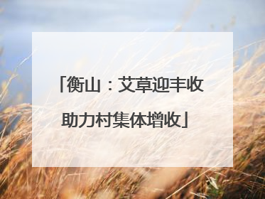 衡山：艾草迎丰收 助力村集体增收