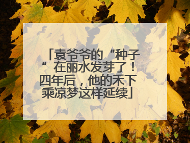 袁爷爷的“种子”在丽水发芽了！四年后，他的禾下乘凉梦这样延续