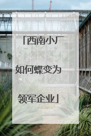 西南小厂如何蝶变为领军企业