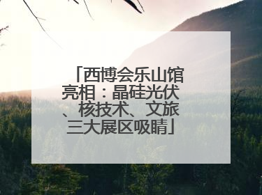 西博会乐山馆亮相：晶硅光伏、核技术、文旅三大展区吸睛