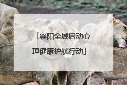 襄阳全域启动心理健康护航行动