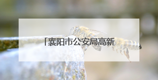 襄阳市公安局高新分局多措并举护航高考 助力学子圆梦