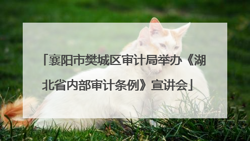襄阳市樊城区审计局举办《湖北省内部审计条例》宣讲会