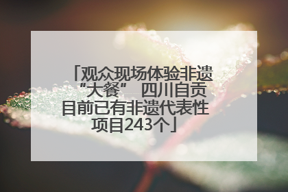 观众现场体验非遗“大餐” 四川自贡目前已有非遗代表性项目243个