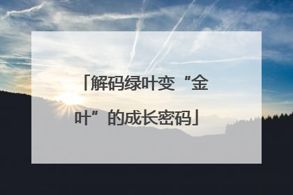 解码绿叶变“金叶”的成长密码