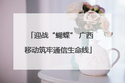 迎战“蝴蝶” 广西移动筑牢通信生命线