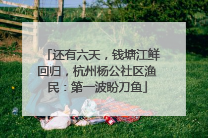 还有六天，钱塘江鲜回归，杭州杨公社区渔民：第一波盼刀鱼