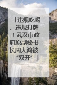 违规吃喝、违规打牌！武汉市政府原副秘书长周大鸿被“双开”