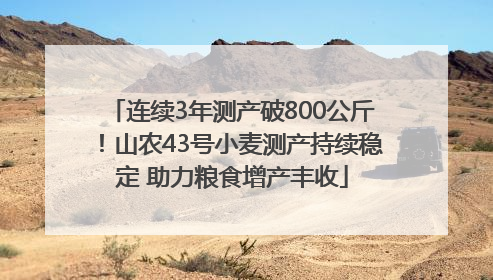 连续3年测产破800公斤！山农43号小麦测产持续稳定 助力粮食增产丰收