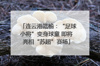 连云港赣榆：“足球小将”变身球童 即将亮相“苏超”赛场