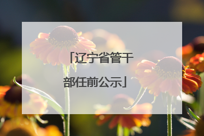 辽宁省管干部任前公示