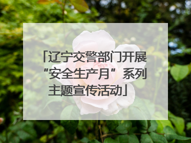 辽宁交警部门开展“安全生产月”系列主题宣传活动