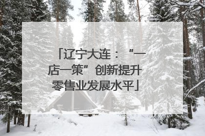 辽宁大连：“一店一策”创新提升零售业发展水平