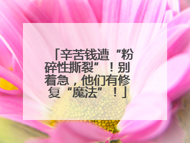 辛苦钱遭“粉碎性撕裂”！别着急，他们有修复“魔法”！