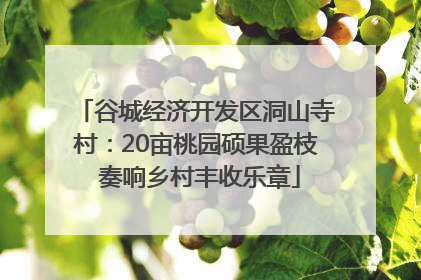 谷城经济开发区洞山寺村：20亩桃园硕果盈枝 奏响乡村丰收乐章