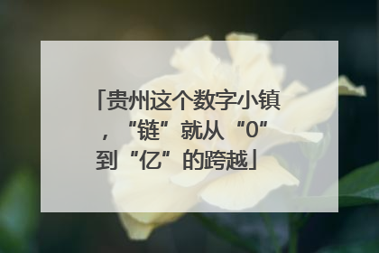 贵州这个数字小镇，“链”就从“0”到“亿”的跨越