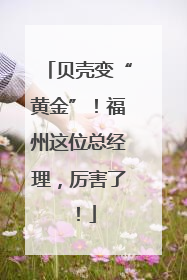 贝壳变“黄金”！福州这位总经理，厉害了！