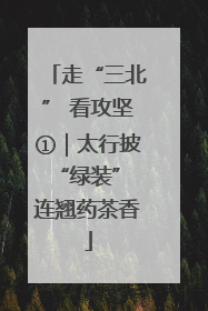 走“三北” 看攻坚①｜太行披“绿装” 连翘药茶香