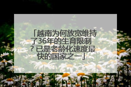 越南为何放宽维持了36年的生育限制？已是老龄化速度最快的国家之一