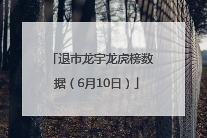 退市龙宇龙虎榜数据（6月10日）