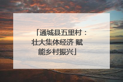 通城县五里村：壮大集体经济 赋能乡村振兴