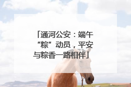 通河公安：端午“粽”动员，平安与粽香一路相伴