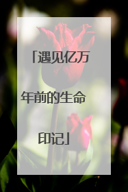 遇见亿万年前的生命印记
