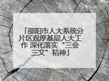 邵阳市人大系统分片区观摩基层人大工作 深化落实“三会三文”精神