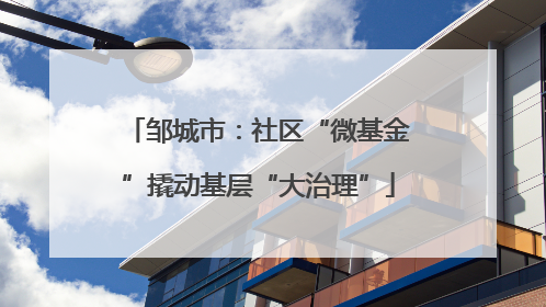 邹城市：社区“微基金”撬动基层“大治理”